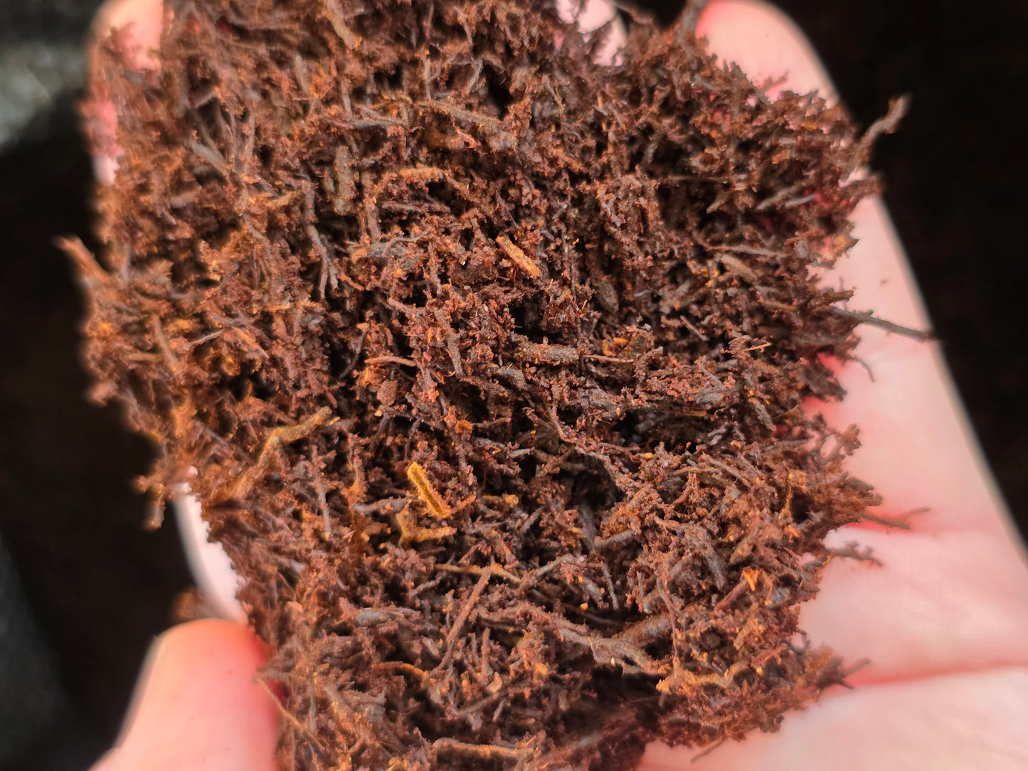 Fernwood Tree Fern Fiber