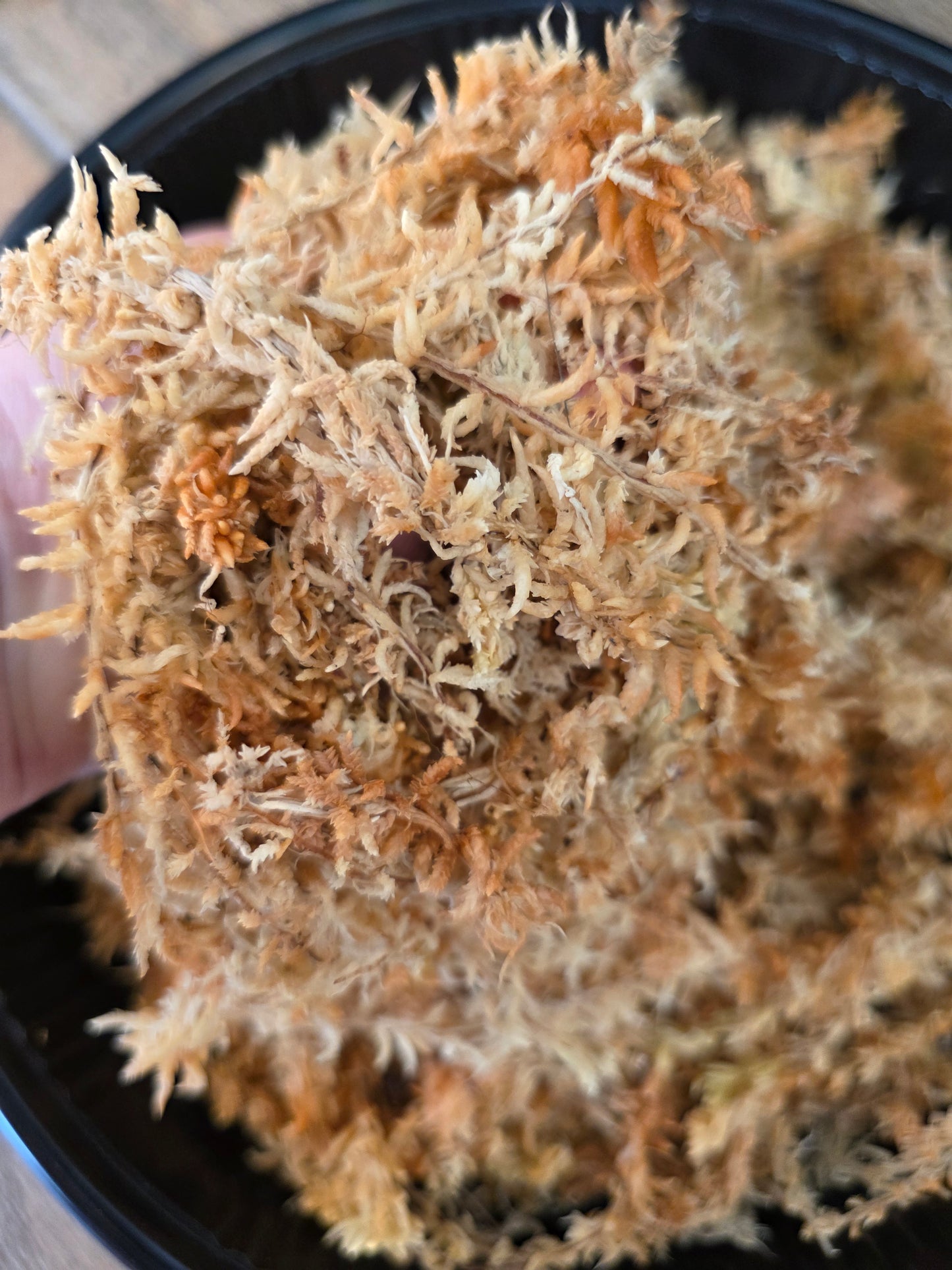 One Mile Moss