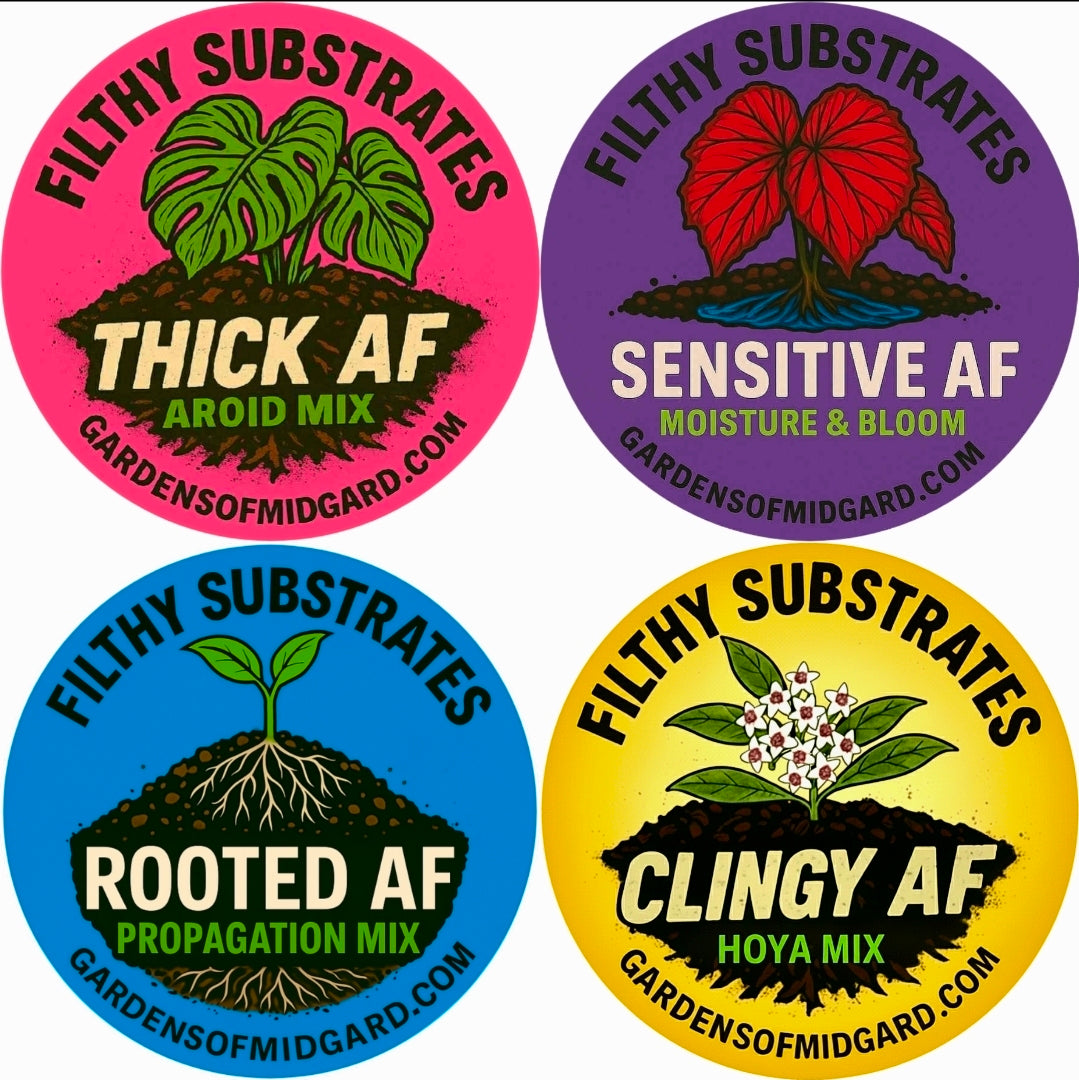 Substrate Starter Bundle