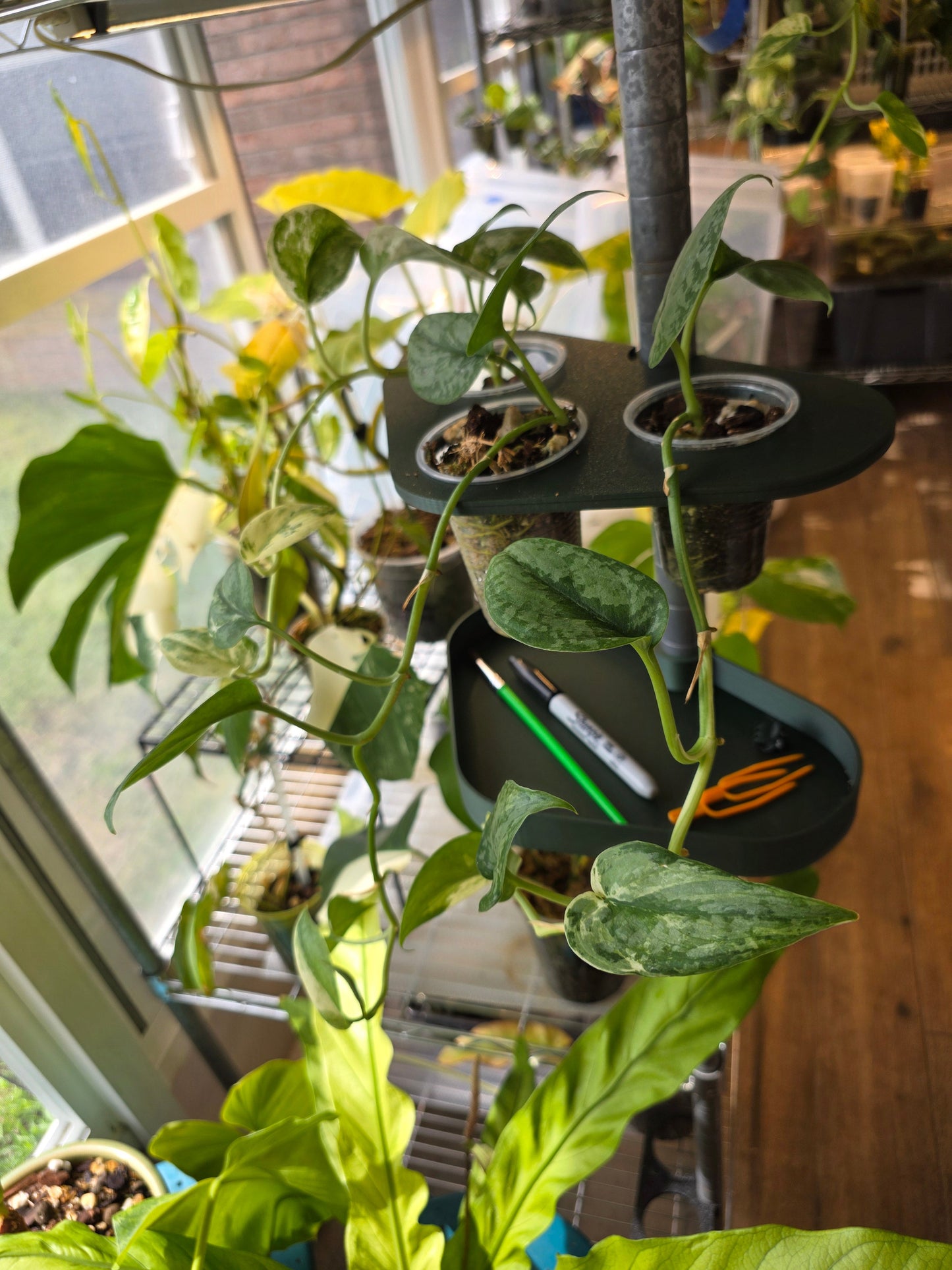 3/4" Clip On Shelf Set