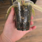 Philodendron Caramel Marble