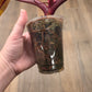 Philodendron Orange Princess