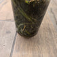 Anthurium Pterodactyl Variegated
