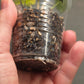 Rooted AF Prop Mix