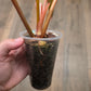 Philodendron Dark Lord Albo/Pink