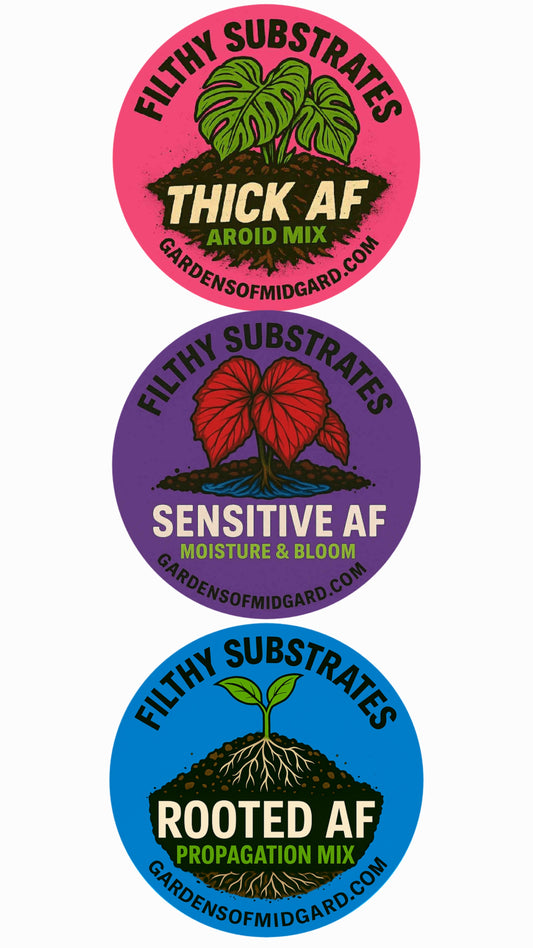 Substrate Starter Bundle
