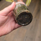 Philodendron Dark Lord Aurea Variegated