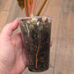 Philodendron Dark Lord Albo/Pink