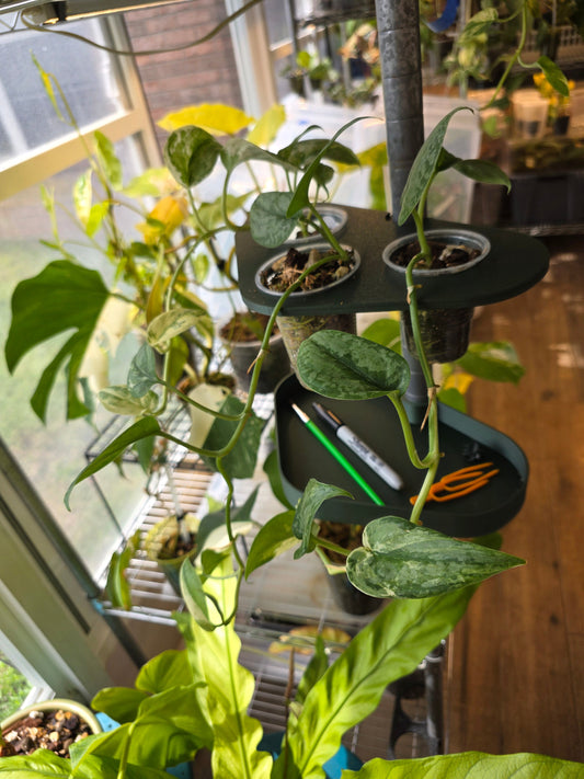 3/4" Clip On Shelf Set